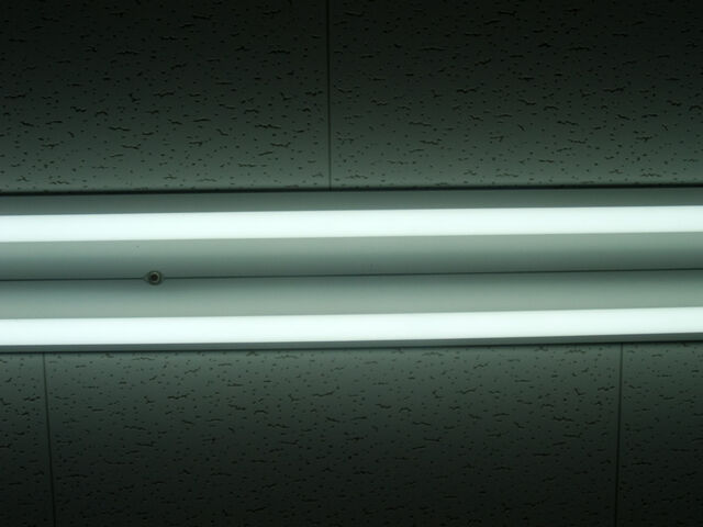 260360-hillairet_neons-016.jpg