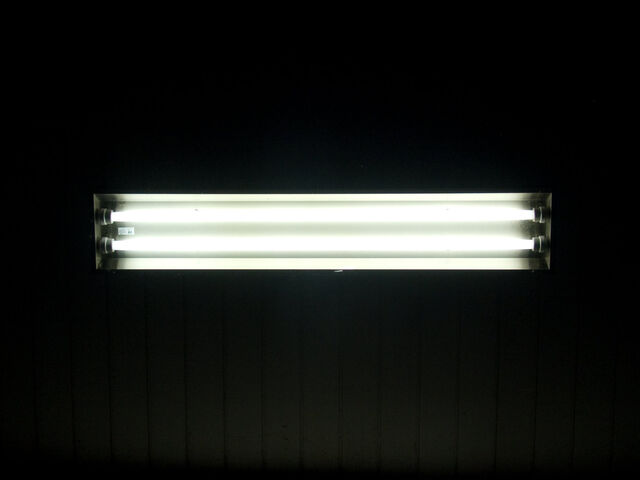 260426-hillairet_neons-105.jpg