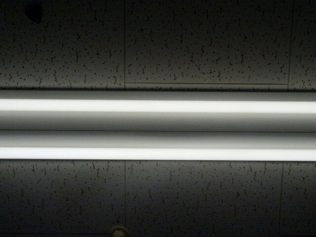 260379-hillairet_neons-043.jpg
