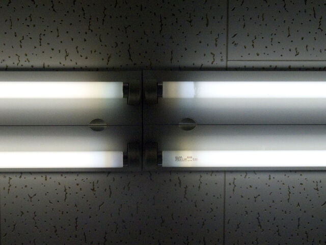 260381-hillairet_neons-045.jpg