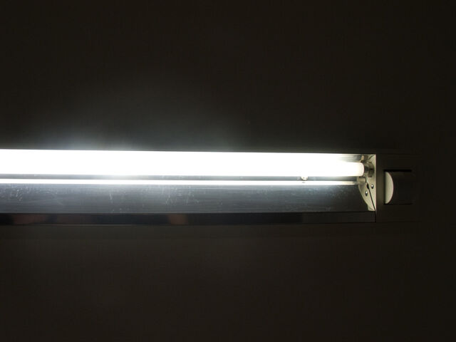 260405-hillairet_neons-076.jpg