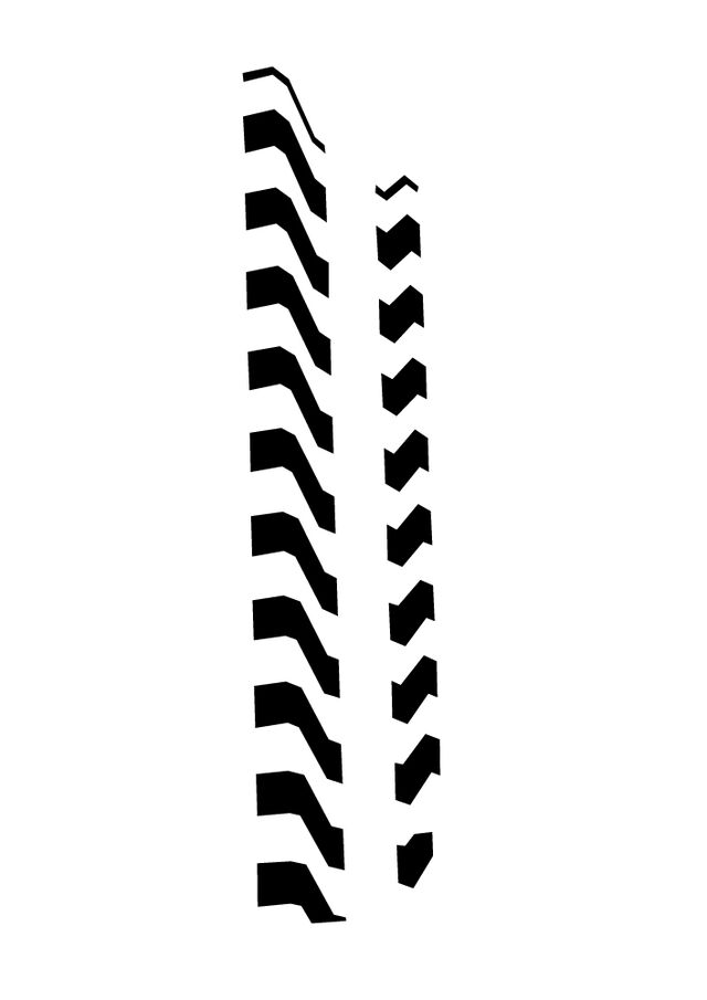 _japanese transfer_