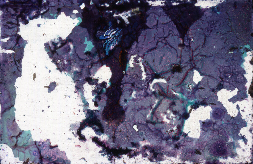 260004-hillairet_long_lat_041.jpg