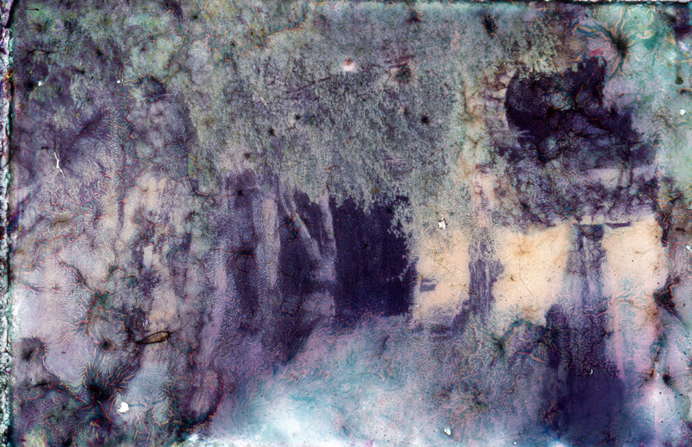 259991-hillairet_long_lat_027.jpg