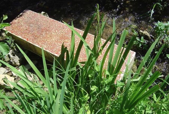 Vermicules