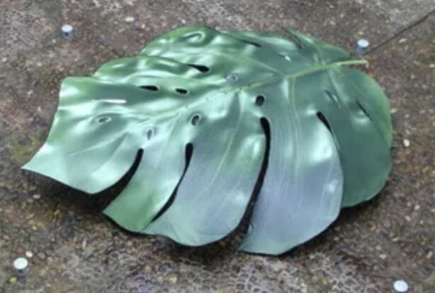 Feuille