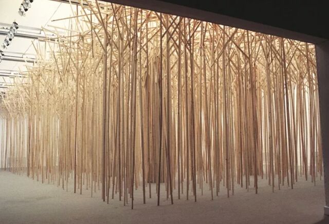 Forêts