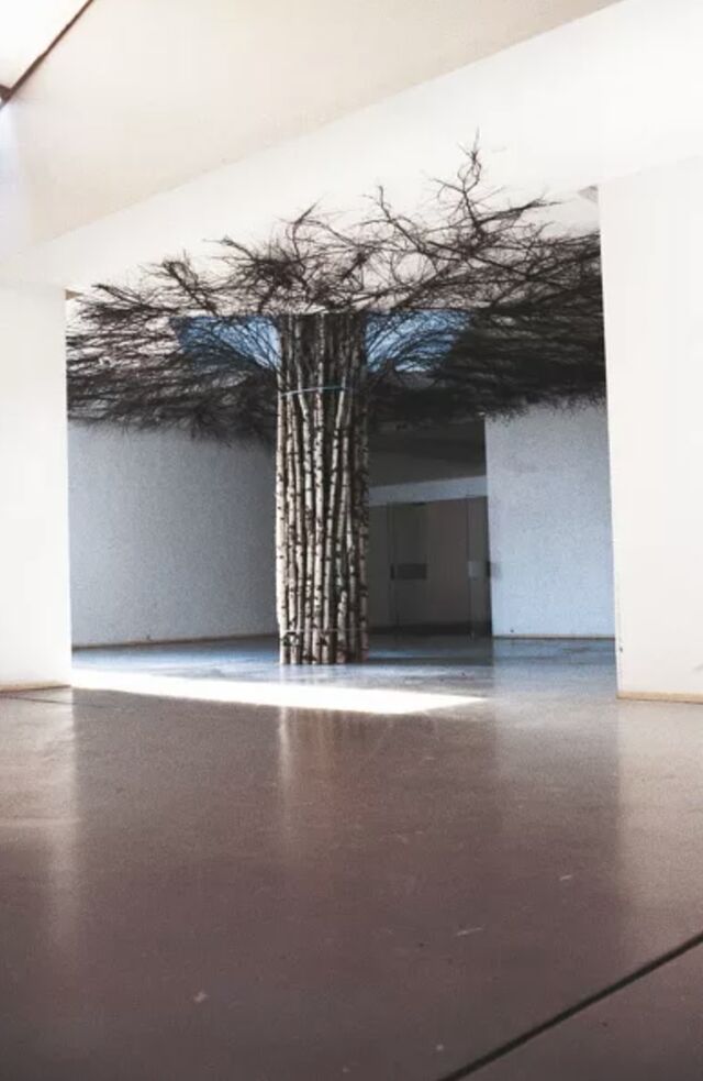 Arbres