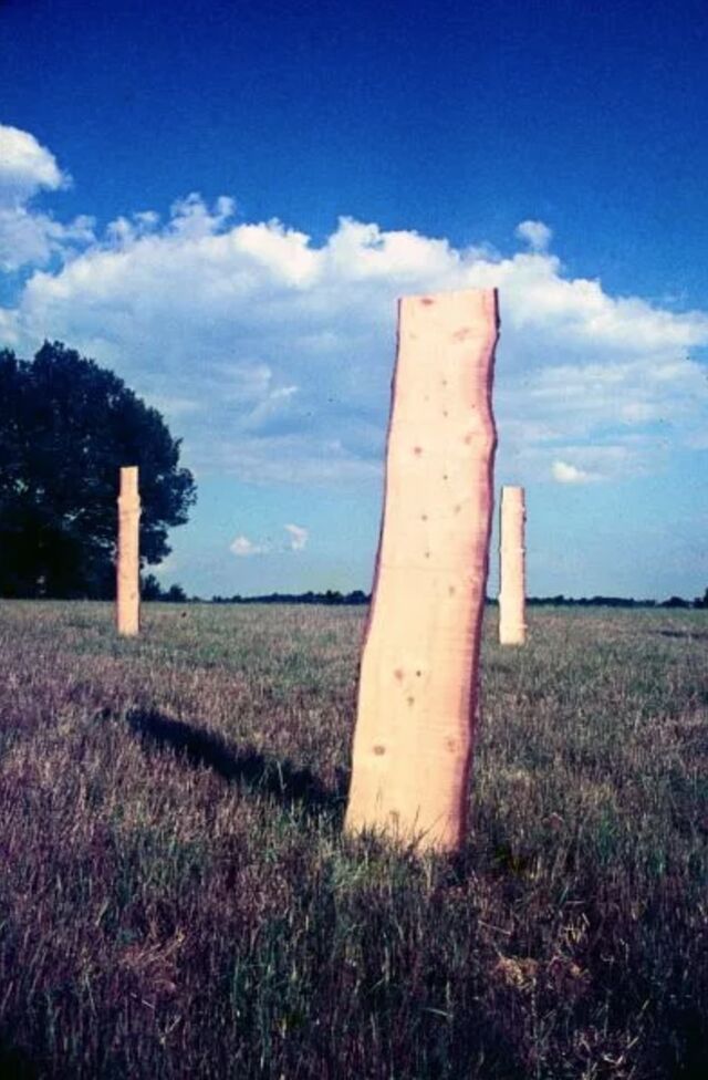 _Forêt_