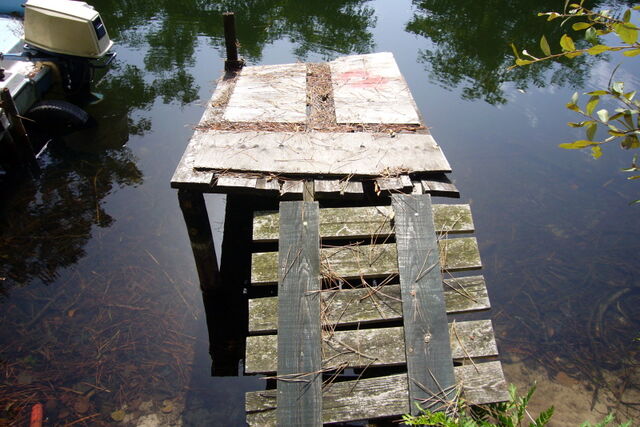 216005-canal-de-cazaux-2007----copie.jpg