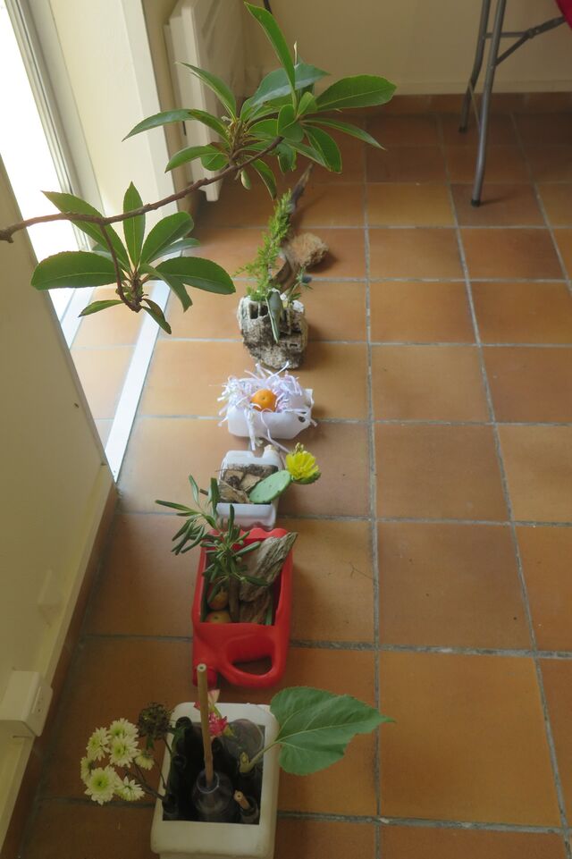 253432-thibeau_meta-ikebana_sixfours2023_img_4620-jpg.jpg