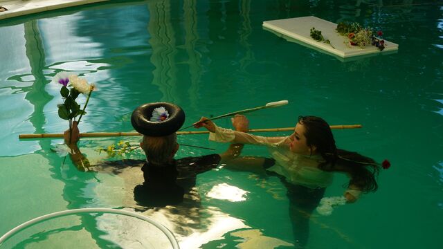 253435-thibeau_meta-ikebana_visan_dsc00755.jpg