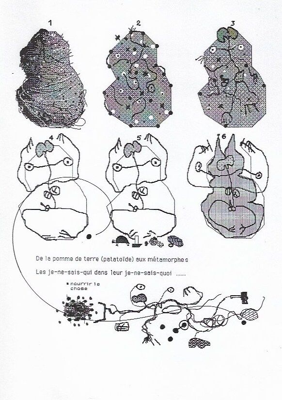 251969-thibeau-dessins-patate-1__patate_19_.jpg