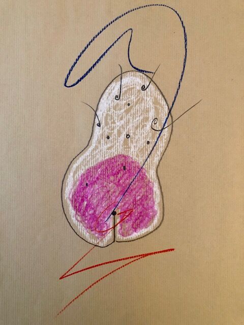 251977-thibeau-dessins-patate-10__img_7817.jpg