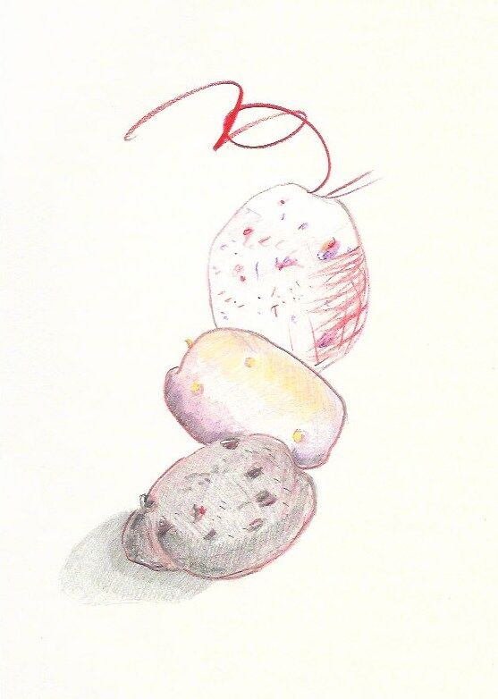 251972-thibeau-dessins-patate-5__patate_2.jpg