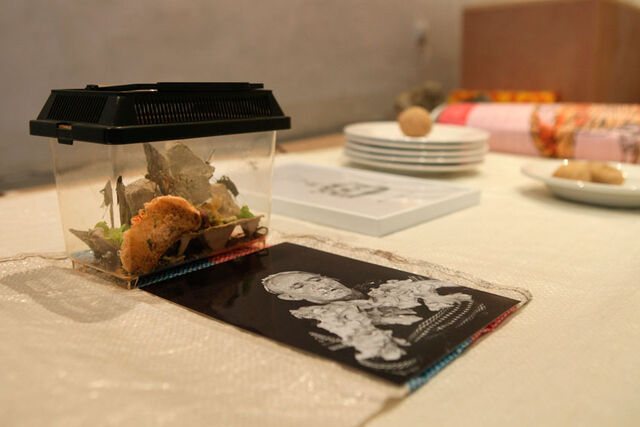 252929-thibeau-meta-radeau-me_ta-radeau_pdt_non-maison_2012_-3.jpg