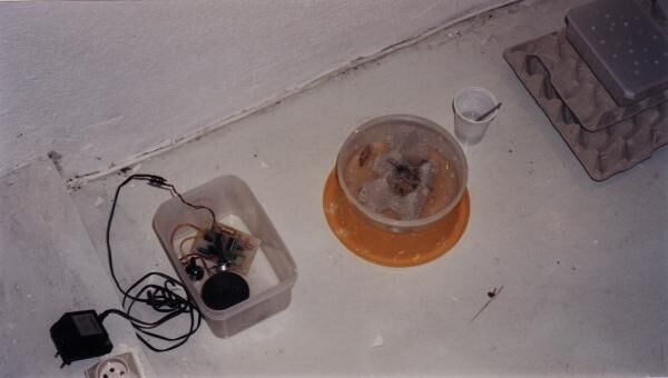 230331-thibeau_mp-mc1-metaconf-gbd-4_0001.jpg