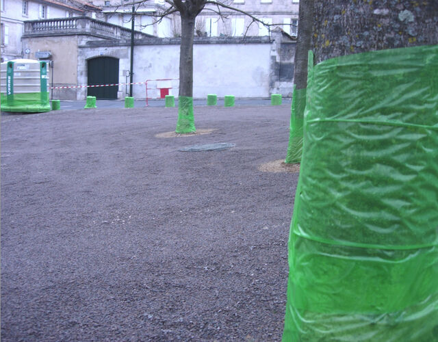 220675-tzaut_notesphotographiques_papiervert.jpg