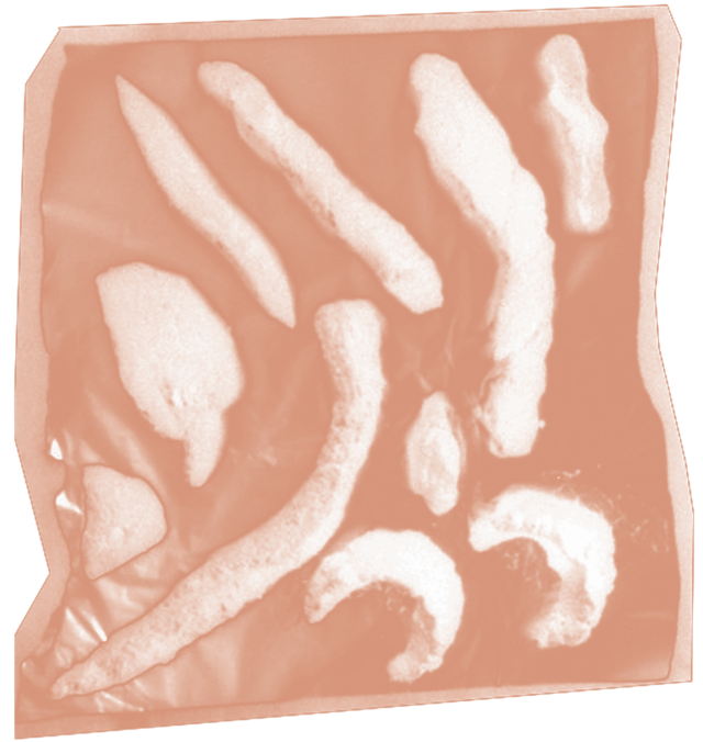 266443-bernagaud-xiang-team-inventaire-8.png