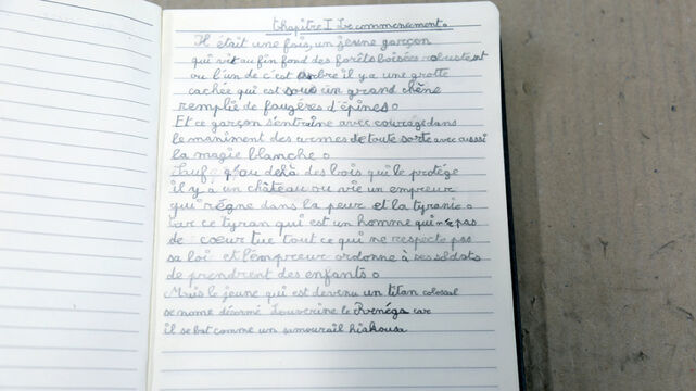 234778-chaffort_alafolie_014-alafolie_c_juliechaffort_copy.jpg