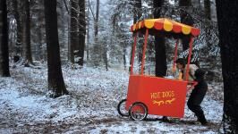 _Hot Dog_