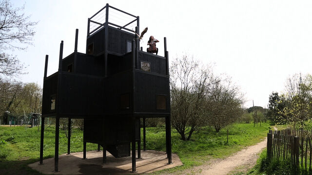 234803-chaffort_lodeurdesfauvesennous_odfen_9-2.jpg