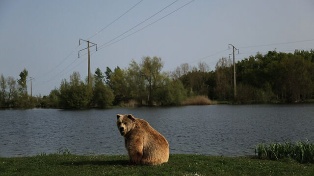 234796-chaffort_lodeurdesfauvesennous_odfen_2-2.jpg