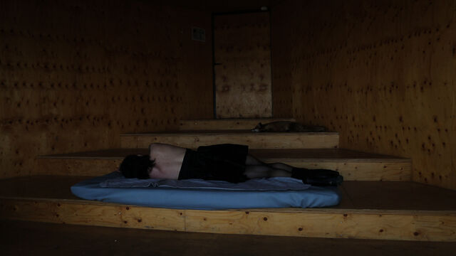 234799-chaffort_lodeurdesfauvesennous_odfen_6-2.jpg