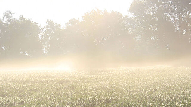 224231-jchaffort_6_pas-un-bruit57.jpg