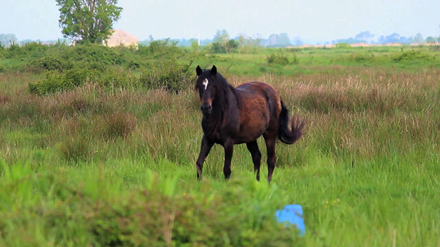 224230-jchaffort_5_pas-un-bruit49.jpg