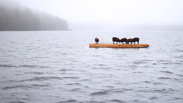 234926-chaffort_montagnesnoires_montagnes-noires-01.jpg