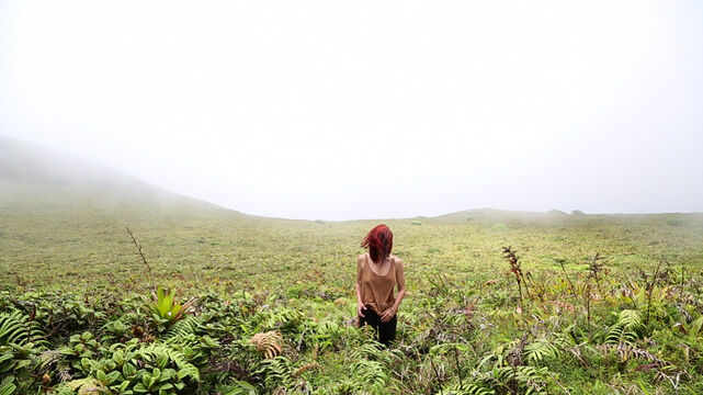 234817-chaffort_morne_morne5.jpg