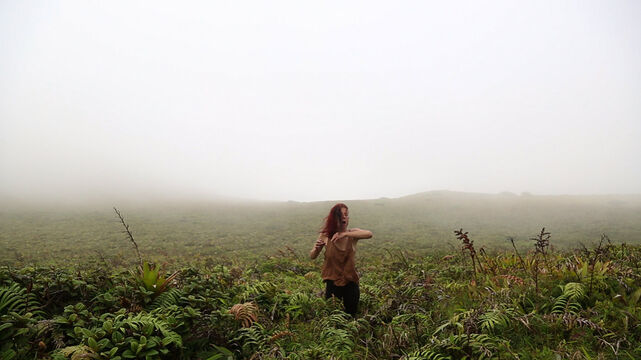 234820-chaffort_morne_morne8.jpg