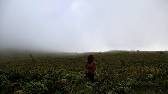 234815-chaffort_morne_morne3.jpg