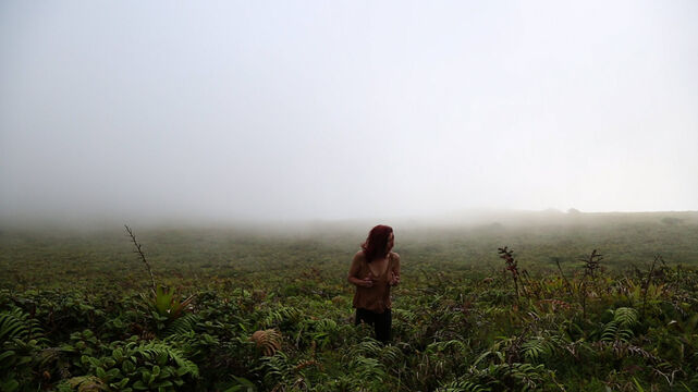 234819-chaffort_morne_morne7.jpg