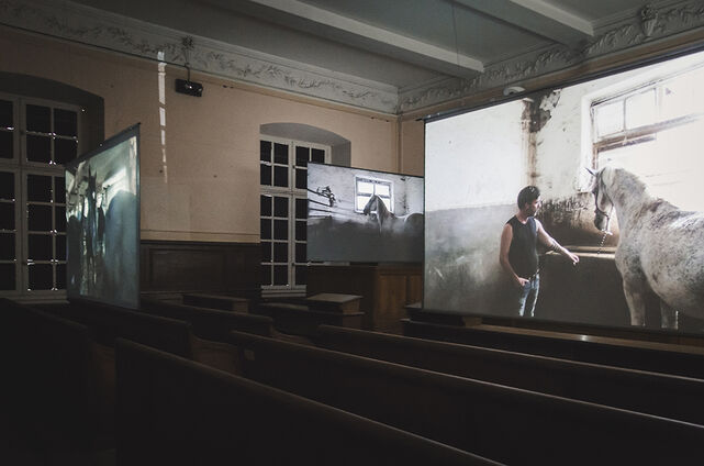 Vues d'expositions