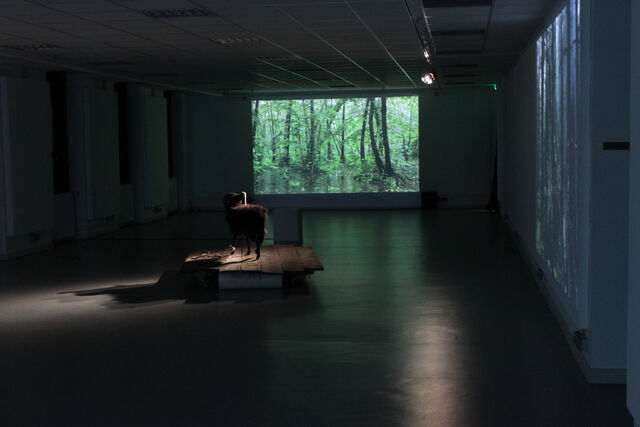 234723-chaffort_installation_img_7731-expo-comme_un_echo-_c_juliechaffort.jpg