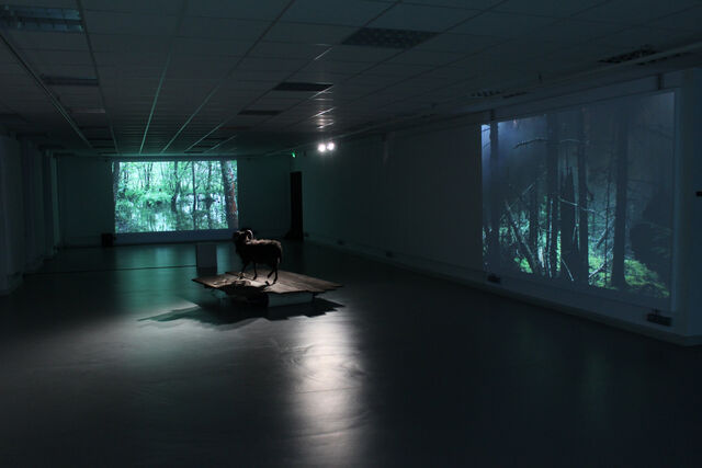 234724-chaffort_installation_img_7736--expo-comme_un_echo-_c_juliechaffort.jpg