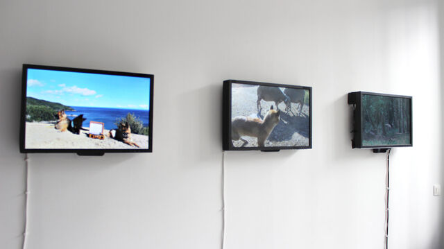 234938-chaffort_entrechiensetloups_8-progress_gallery.jpg