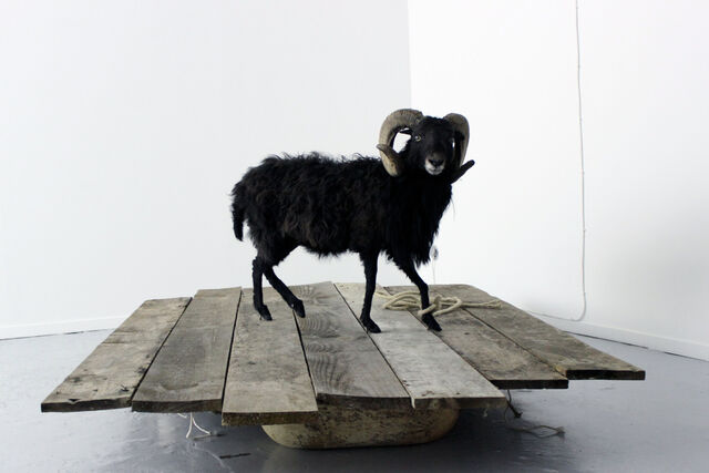 234935-chaffort_entrechiensetloups_0-progress_gallery.jpg