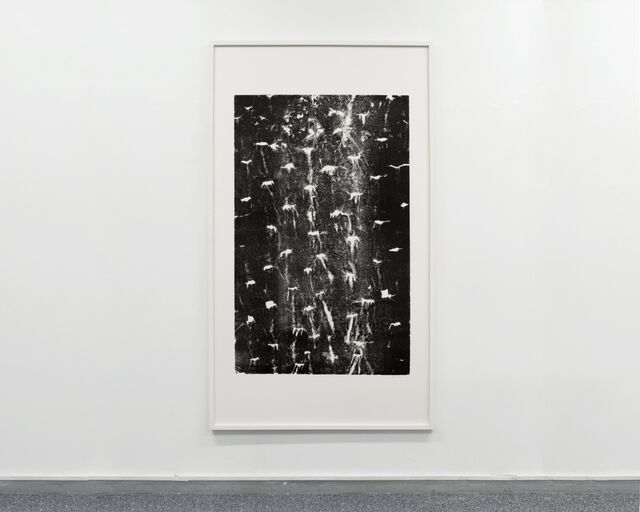 _Épaisseur d’écorces ou l’empreinte d’un visible_