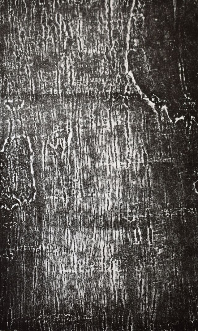 269365-monnet-epaisseur-ecorce-memoire-visible-noyer_r_.jpg