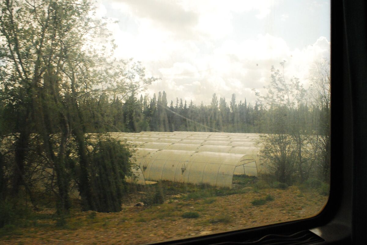269297-monnet-les-interme_diaires-train_276.jpg
