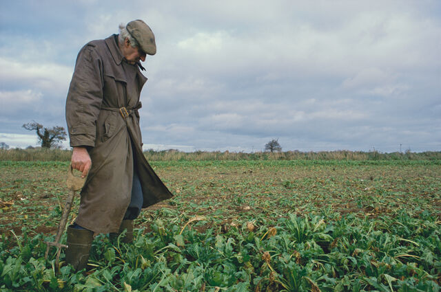 _East Anglia_