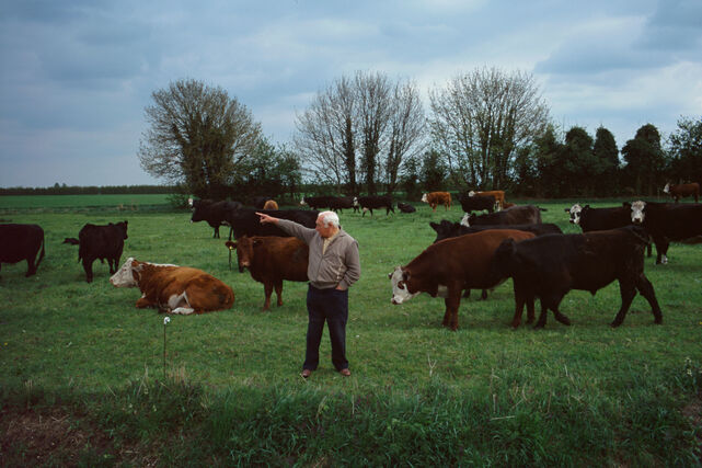 _Black Fen_