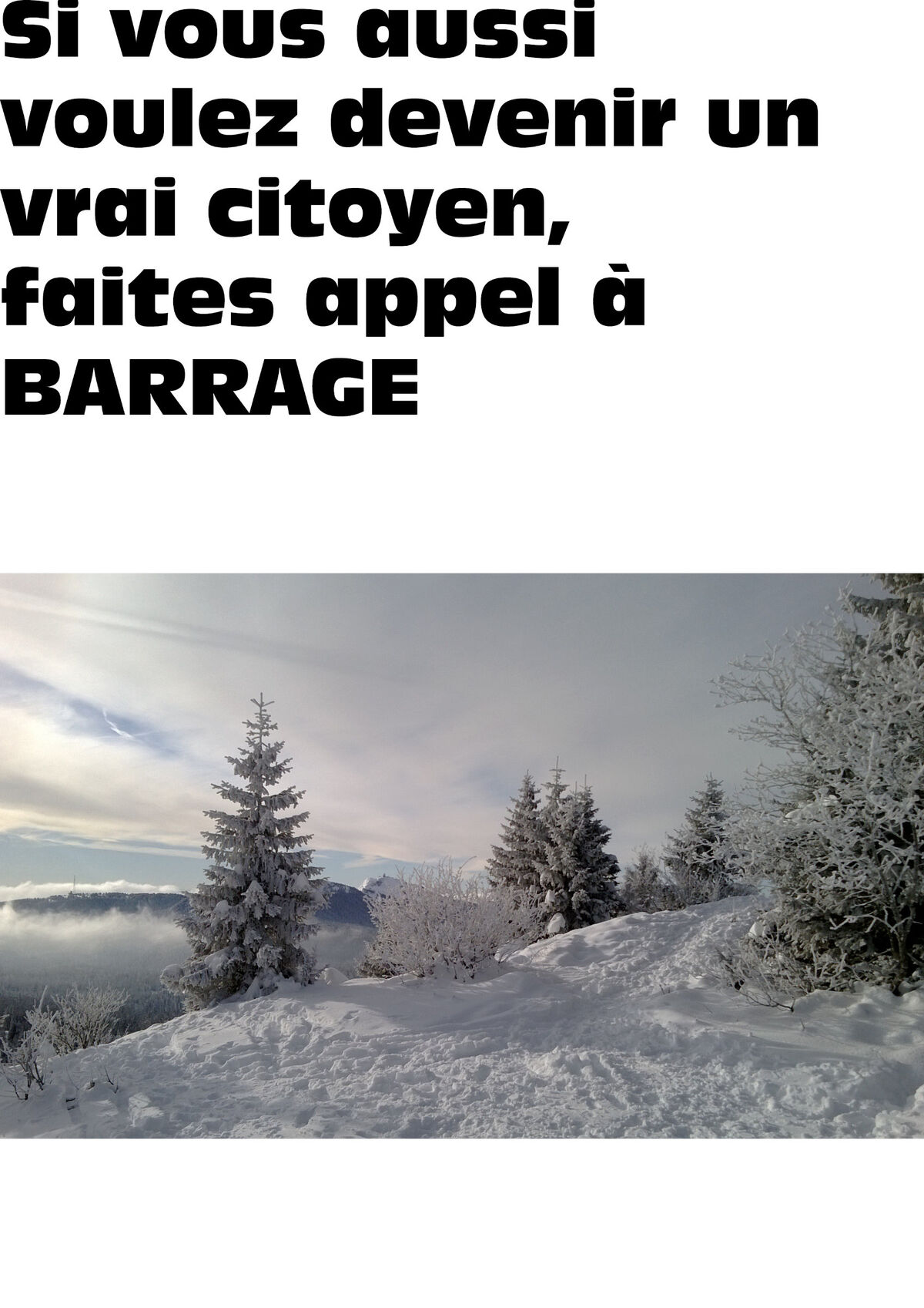 238834-huber_lerepondeur_affiche_2a.jpg