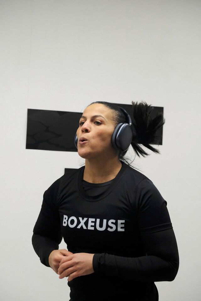 257910-depaulis-boxer-au-seuil-de-la-chute-fuji_16_.jpg