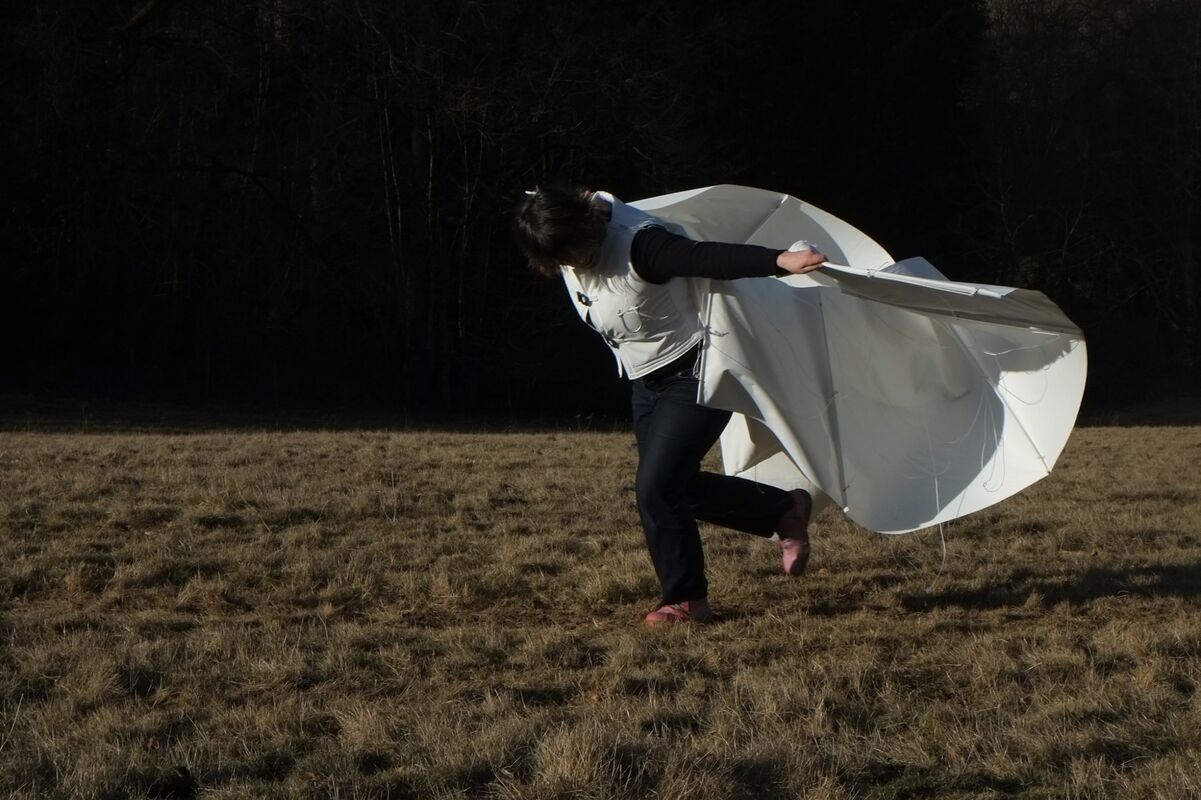 258382-depaulis-tentative-de-vol-vol_parachute_2.jpg