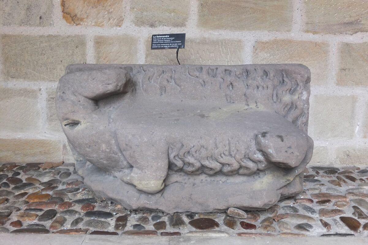 259757-depaulis-salamandre-dscf5196.jpg