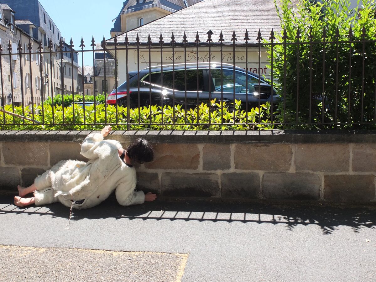 257862-depaulis-tapis-corps-dscf6907.jpg